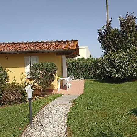 Piscina Privata Tiger Home, Toscana Capannori Exterior foto