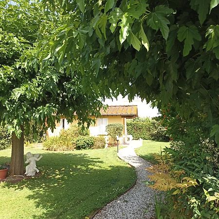 Piscina Privata Tiger Home, Toscana Capannori Exterior foto