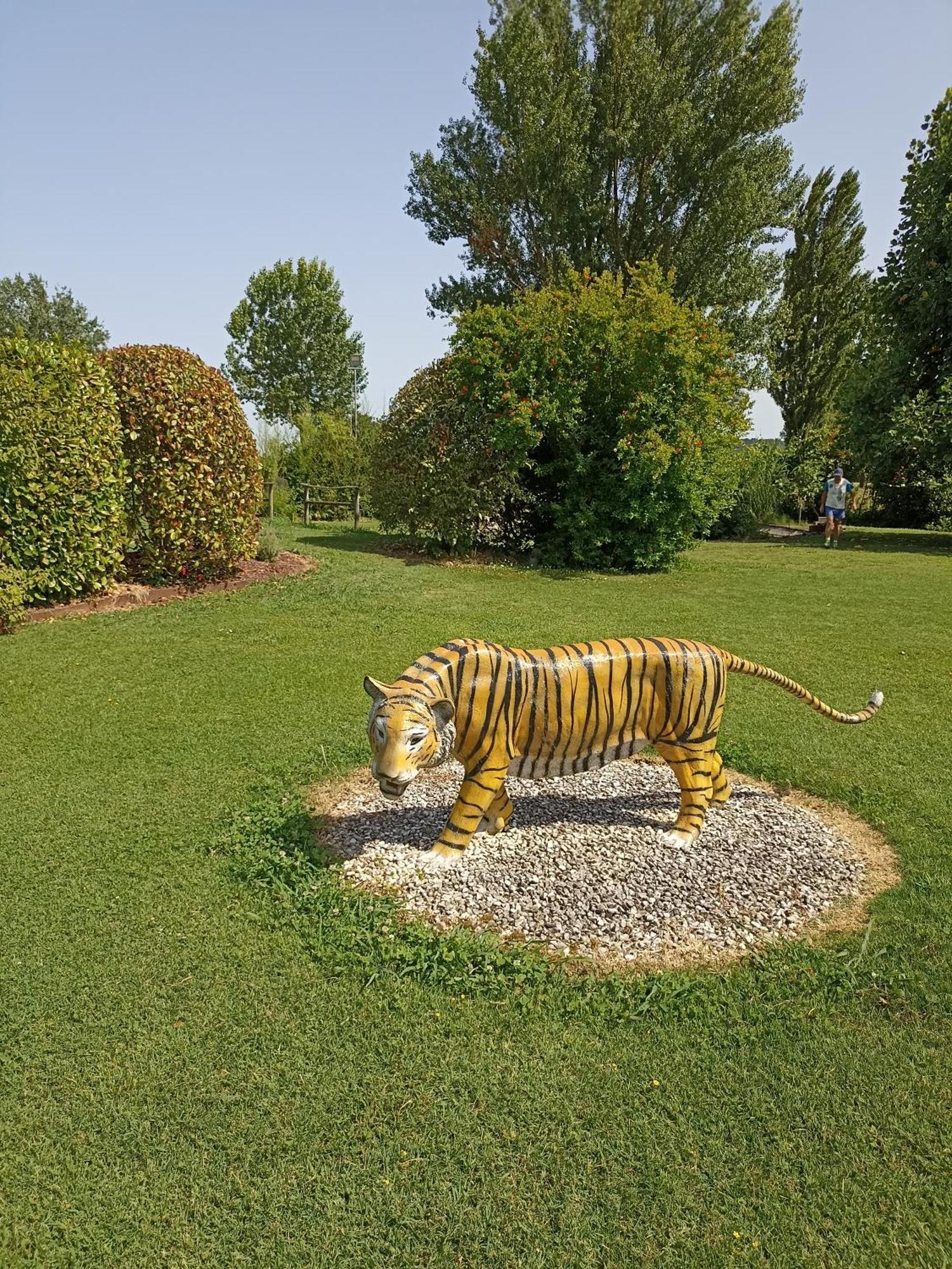 Piscina Privata Tiger Home, Toscana Capannori Exterior foto